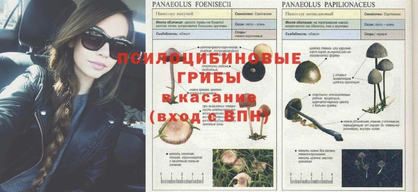 мяу мяу кристалл Балахна